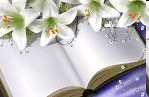 [image[4].png]