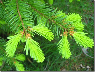 IMG_9547 IMG_9547