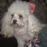  &ndash; 27-Dec-2009