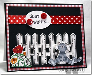 kittyfence kittyfence