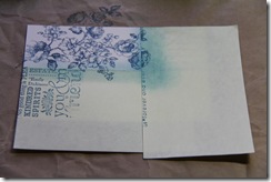 IMG_0820 IMG_0820