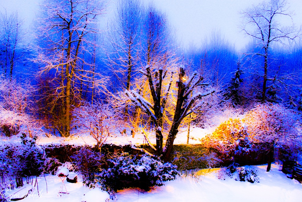 [Eyes-of-iSi-Soft-Winter[3].jpg]