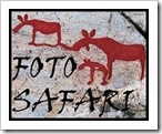 Fotosafari