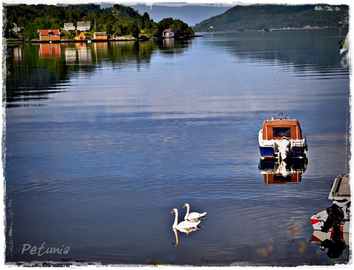 Svanesjø 1