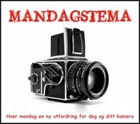 Mandagstema ny logo