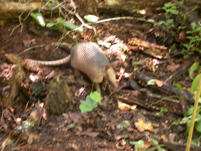 [DSCN25253.jpg]