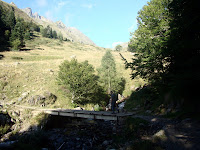 DSC09621.JPG Photo