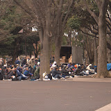 _SC02267.jpg _SC02267.jpg