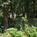 DSC03449.jpg DSC03449.jpg