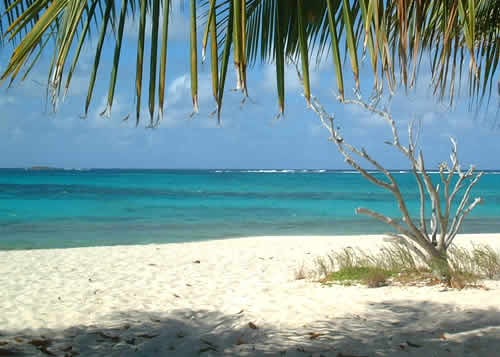 [Saint Martin[7].jpg]