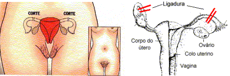 [clip_image037[3].gif]