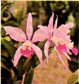 [clip_image014[3].jpg]