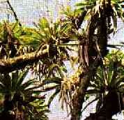 [clip_image015[3].jpg]