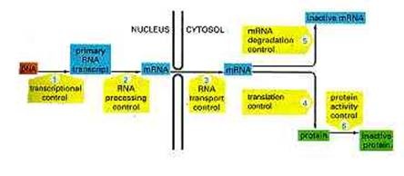 [clip_image018[3].jpg]