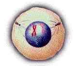 [clip_image005[3].jpg]