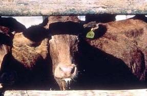 [clip_image024[3].jpg]