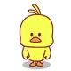 pollo pollo