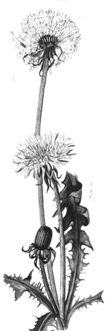 [image[14].png]