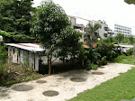 PICT0353.JPG