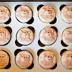 Custom Cupcakes - 2009-09-20_09-10-32_9677.jpg