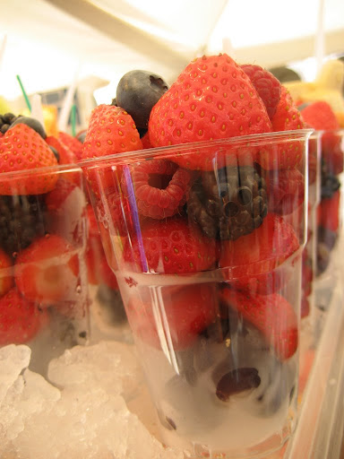 Meyve Resimleri (1. Katalog)