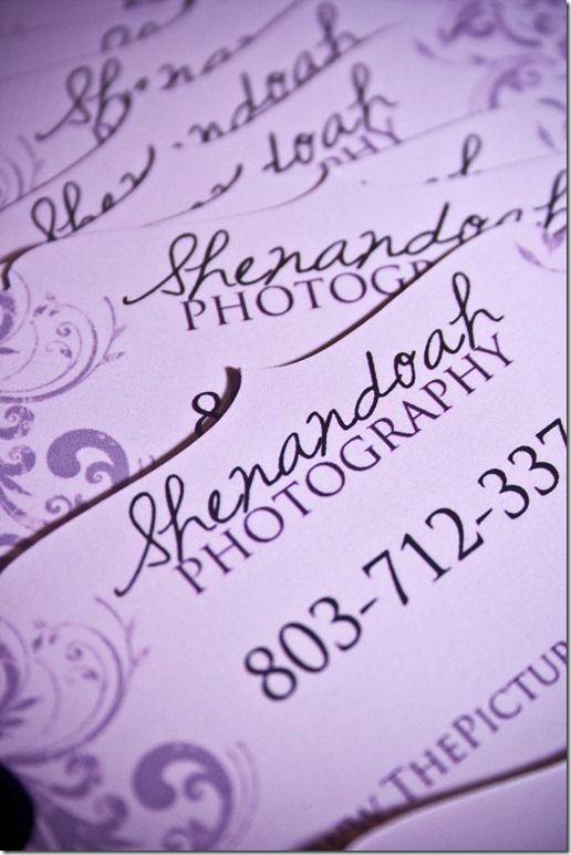 business cards331