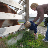  &ndash; 04-Nov-2007