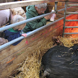  &ndash; 04-Nov-2007