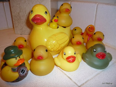 http://lh4.ggpht.com/_ww6ttbVula0/S0GWm1LnMNI/AAAAAAAAAJU/mC5yshDfhRY/s400/P1000481.JPG