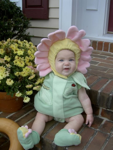 Flower Power