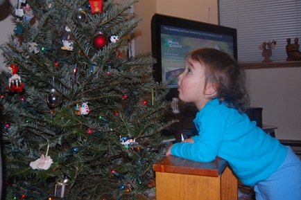 [DSC_0258[2].jpg]