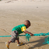  &ndash; Roo climbing over fishing net on beach:…. © 2008 NHA Photos, James Mansaray: Photographer