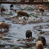  &ndash; Kroo Bay, Freetown, Sierra Leone. A Slum Community being pushed into the ocean. …. © 2008 September NHA Media Photos, Vicki Hicks photographer.