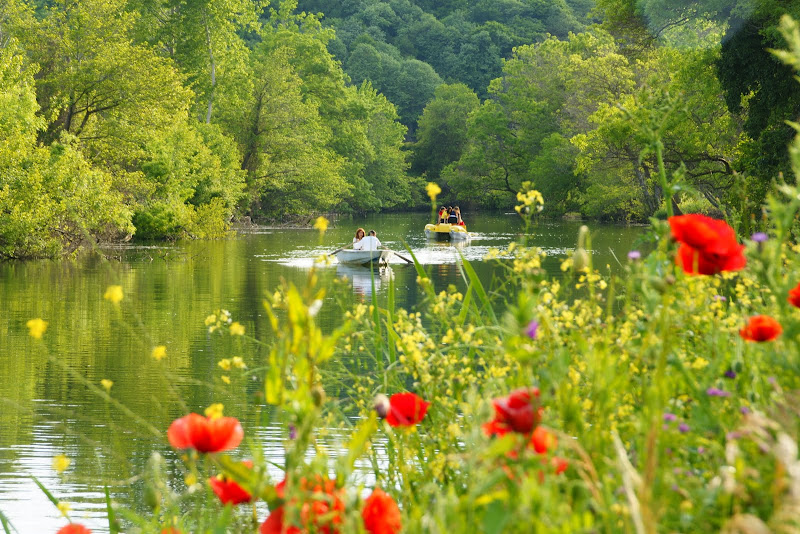 Doa ve Manzara Resimleri (5. Katalog)