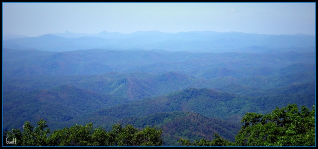 [DSCN0285[9].jpg]