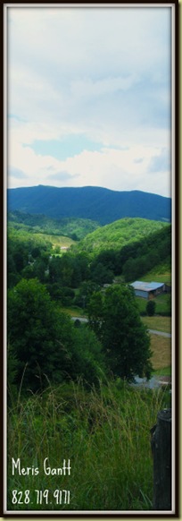 zionville