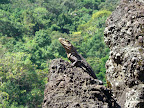 The Tico-Nica Tour 2011 Slideshow