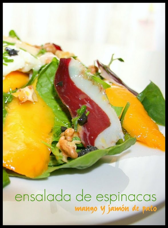 ensalda01 ensalda01