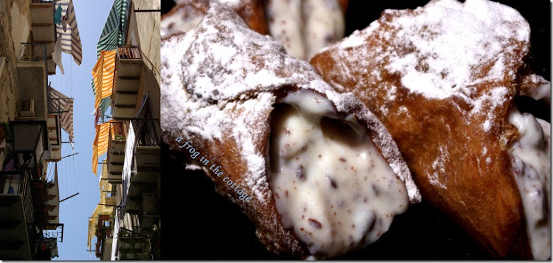 canoli 5 canoli 5
