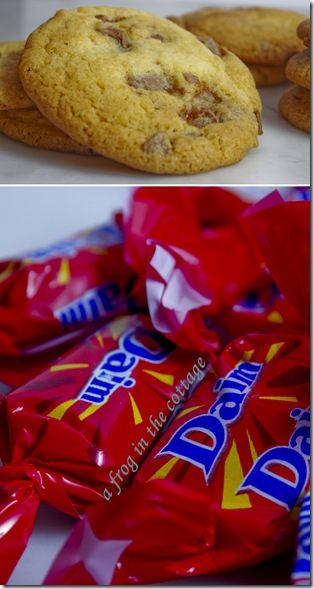 chewy cookie 3 chewy cookie 3
