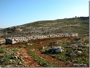Tombs of Sons of Israel, Kubr Benei Israel, tb020503112