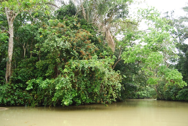 [PanamaVacationFebruary20110872.jpg]