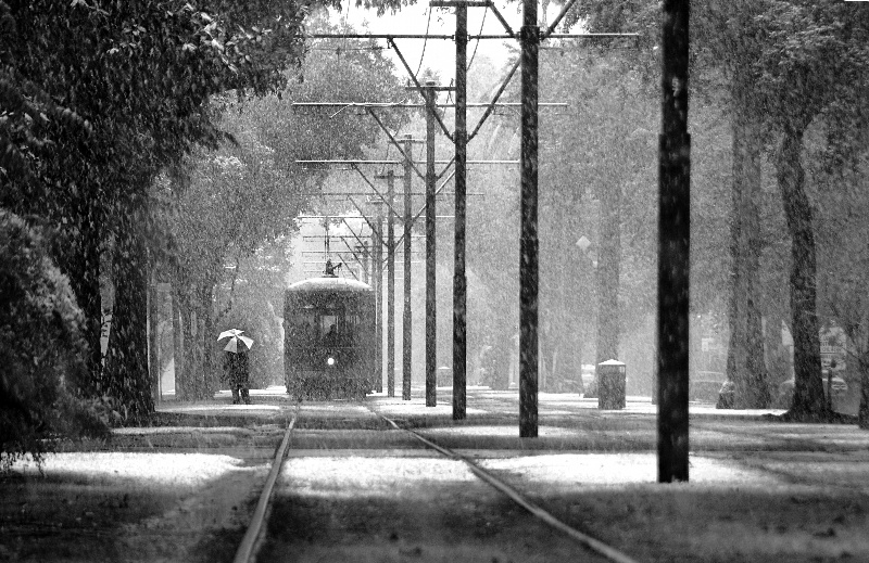 Snow in New Orleans
