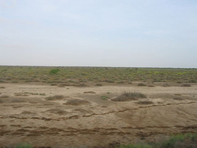 kutch_landscape6.jpg