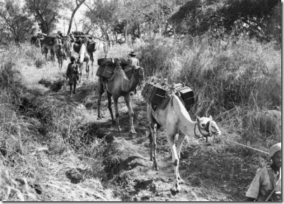 WWII Ethiopia British Troops 1941