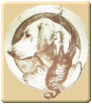 centre de dressage pour chien en charente maritime