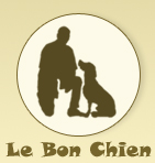 race de chien détecte crise d'épilepsie