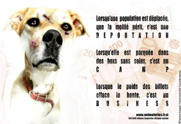 méthode de dressage