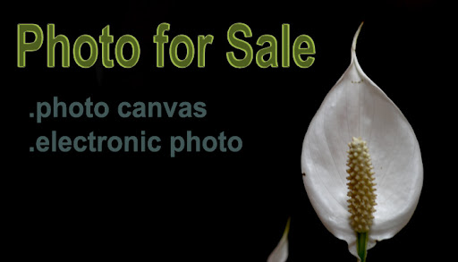 Dimas Photo For Sale