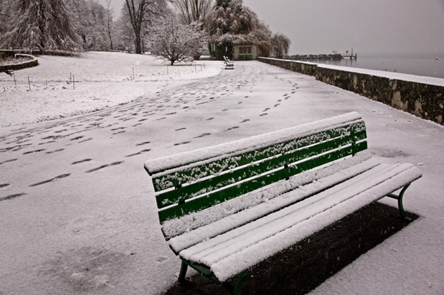 [Bench at Lakeside[2].jpg]